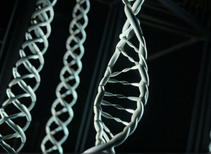 Документальний фільм про ДНК Гітлера: сенсаційні відкриття та етичні виклики