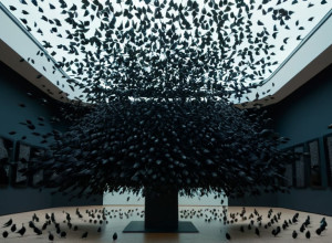 MACBA Святкує 30-річчя Виставкою "Як Танець Шпаків": Свіжий Погляд на Колекцію