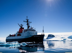 Загадкова знахідка в Антарктиді