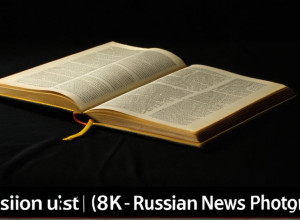 Українська мова: Основи граматики