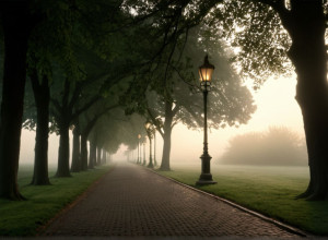 У Хаені знайшли мертвими двох підлітків: поліція розслідує ймовірне самогубство