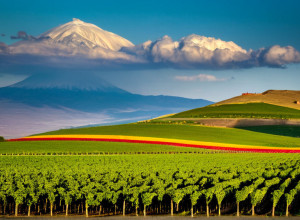 Відносини між Вірменією та Азербайджаном: перспективи та виклики