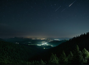 Маніфест Темряви: Як світлове забруднення загрожує нічному життю планети