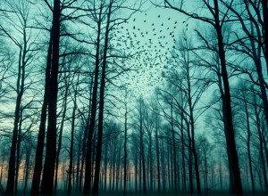 Співочі шпаки та денацифікація: Новий роман Жан-Іва Жуанне досліджує моральні дилеми