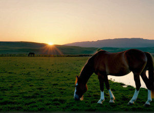 Рауль Гарсія: "Я знайшов спокій, і моє життя більше не залежить від результату"