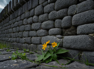 Країна Басків Шукає Родини Республіканських В'язнів, Загиблих у Жорстокій Тюрмі Ордунья