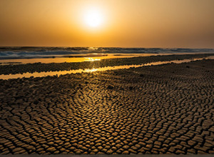 Глобальне потепління та його наслідки