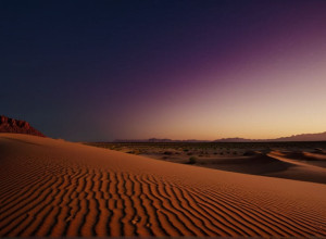 Посередники в Газі закликають до негайного прогресу в мирному плані на тлі загрози краху