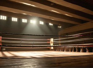 Надія в рингу: як бокс об'єднував протиборчі сторони в Північній Ірландії