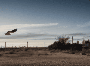 Перемир'я в Газі: Ізраїль зупиняє постачання допомоги після завершення першого етапу