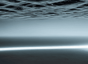 Складний шлях агорафобії: «Після життя, обмеженого страхом, можна навчитися забувати про нього»