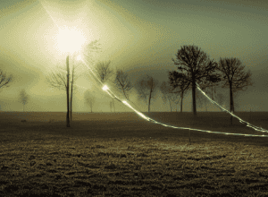 Річард Паверс, лауреат Пулітцерівської премії: «Те, що Трамп і Маск можуть зробити з демократією, гірше за наші найстрашніші кошмари»