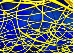 Меггі Нельсон, есеїстка: «Трамп використовує трансгендерів як цапів-відбувайлів; це тактика репресій, яка буде розширюватися»