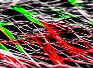 Усі уряди Народної партії у Валенсії залежать від Vox