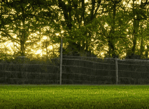 Депортація до лікарні: 10-річну американку, яка одужує від раку мозку, вислали до Мексики