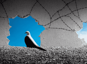 ЄС закликає Ізраїль до «стриманості» та відновлення перемир'я і переговорів у Газі
