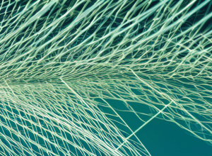 Державна агенція громадського здоров'я: Запізніле рішення для зміцнення здоров'я нації