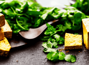 Tofu Landeira: З Галісії до кулінарії, як виростити успіх на сої