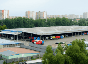Аравака: 20 років боротьби проти сміттєзвалища через шум та щурів