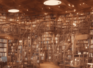Коли в Іспанії спалювали книги: «Книгарні все ще є підривними»