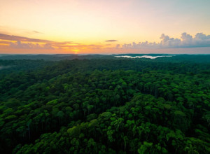 Протест корінних народів зірвав саміт COP30 в Амазонії: "Наша земля не продається"
