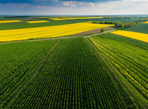 Подорож Україною: Від Карпат до Чорного моря