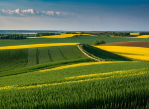 Історія України