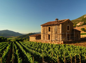 Каталонія: Уряд запускає програму відновлення житла в сільській місцевості для боротьби з депопуляцією