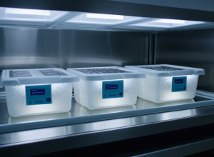 Малага: 5400 біопсій заморожено з серпня, ситуація загрожує здоров'ю пацієнтів