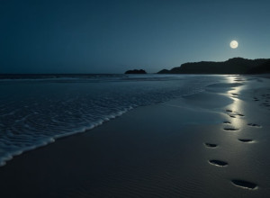 У Малазі Затримали Чотирьох Чоловіків за Зґвалтування: Жертва Була під Впливом Хімічних Речовин