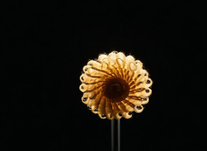 Оптимальний спосіб прохождення за програмою 'curly' та вибору відповідного стилізатора для волос