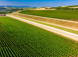 Останні значні місця для відвідування у провінції Цідьодей Реал, Іспанія