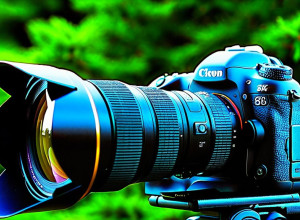 Безпекне місце для журналисток у Газі