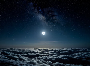 Польща раджу за Rose Byrne: вона отримала орден Кермани!