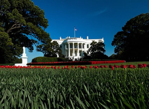 Рік повернення Трампа у Білу будинок