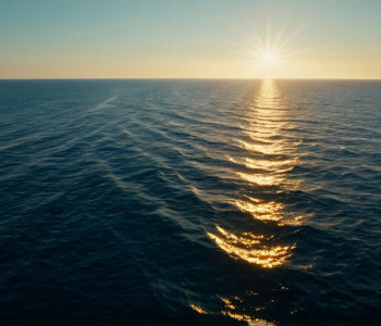 Море Сорóльї: Мануель Вісент розкриває світлотворчість художника у Барселоні