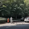 У Мадриді чоловік отримав важкі травми після падіння гілки дерева