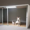 Чenoа на RTVE: Нове шоу «Dog House» про притулки для собак