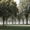 Зелена душа Памплони: як дерева та парки роблять місто особливим