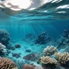 В Каталонії створили першу карту морського дна: виявлено 26 підводних місць проживання