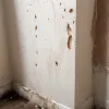 Як швидко позбутися плісняви та вологи на стінах: дієвий засіб