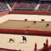 Корида на Сан-Ісідро: боягузливі бики та розчарування на арені