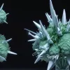Новий варіант COVID-19 NB.1.8.1 поширюється: ВООЗ оцінює ризики