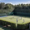Давидович знімається з турніру в Queen's: Алькарас отримає нового суперника