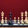 Анна Музичук тріумфує на Norway Chess: Перемога української шахістки та аналіз гри