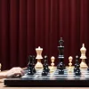 Ананд перемагає: Екс-чемпіон світу з шахів демонструє клас проти Ерігайсі