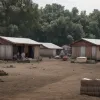 Рабська праця в Іспанії: Мігранти платили за можливість працювати та жити в нелюдських умовах
