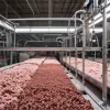 Kaura Coproducts: Революція в переробці відходів – економіка замкнутого циклу в дії
