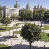 Площа Санта-Ана в Мадриді: Дерева вирубали заради паркінгу – мешканці обурені
