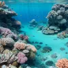 Колумбія створює нові морські зони для захисту коралів Карибського моря